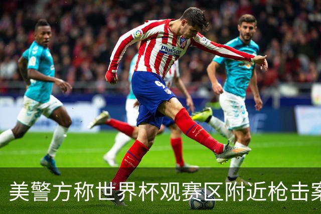 美警方称世界杯观赛区附近枪击案系孤立事件
